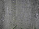 image of grave number 807556